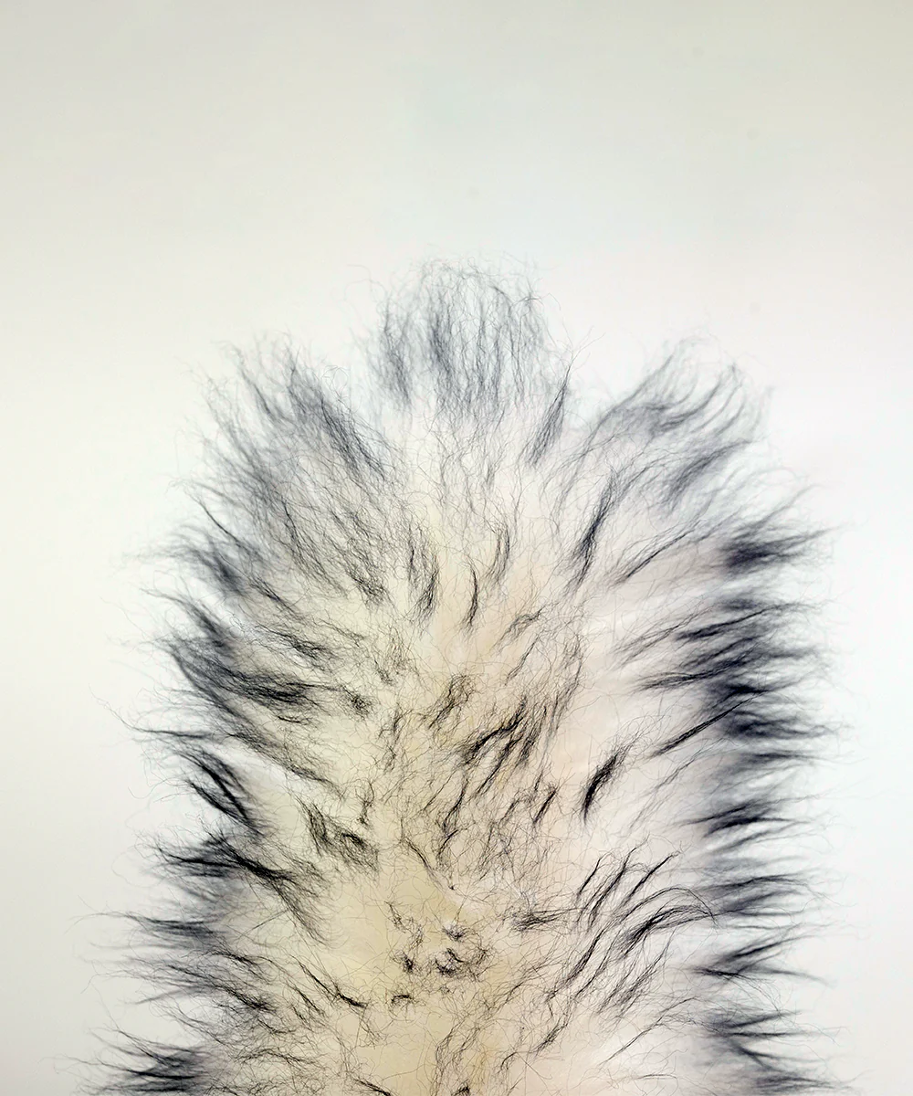 "Really Nice" Beechwood & Lambswool Duster - Image 3