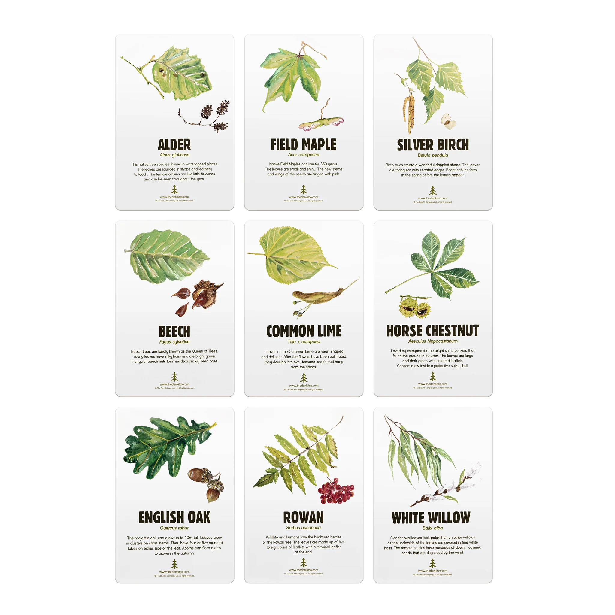Plant a Tree Kit - Image 4